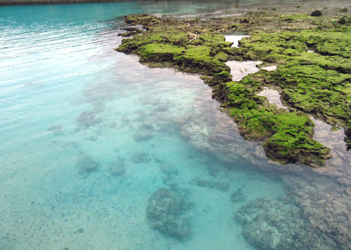伊延（イノベ）漁港（西郷上陸の地）