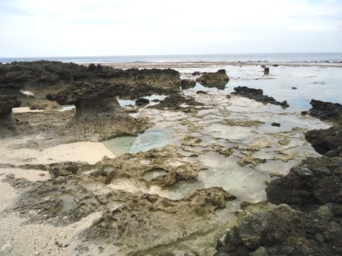 国頭（クニガミ）岬近くの海岸